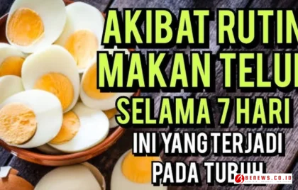 makan telur rutin