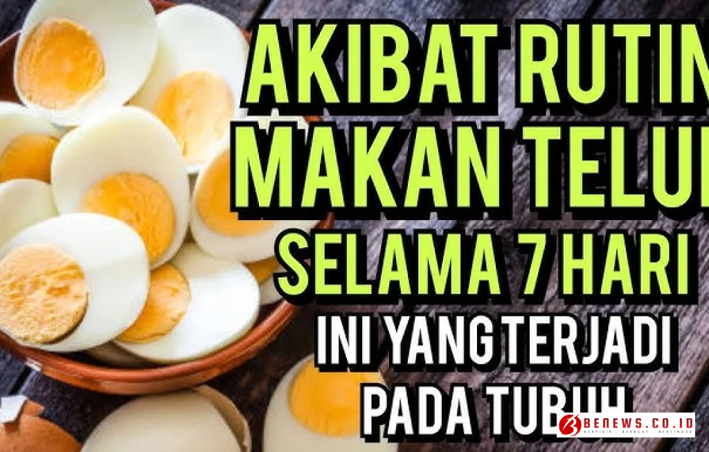 makan telur rutin