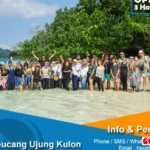 Pulau Peucang Ujung Kulon